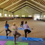 Yoga for Riders Program