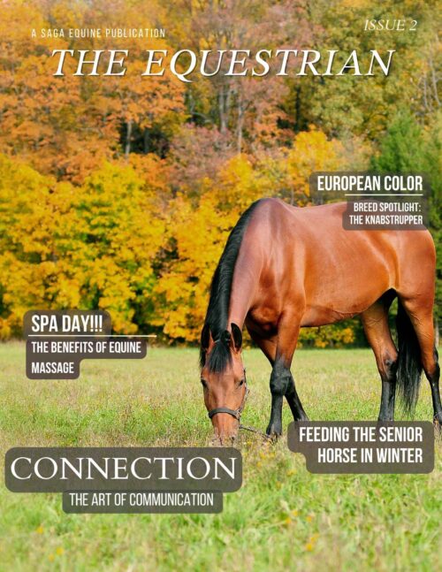 The Equestrian Magazine