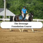 Dressage Foundations Course