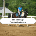 Dressage Foundations Course Payment Plan