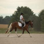 One-2-One Coaching